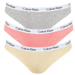 Kalhotky Calvin Klein W QD3588E dámské S