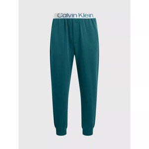 Spodní prádlo Pánské kalhoty JOGGER 000NM2266ECA4 - Calvin Klein L