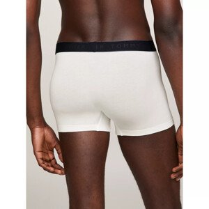 Close to Body Men Underwear Bottoms TRUNK model 19057702  LG - Tommy Hilfiger