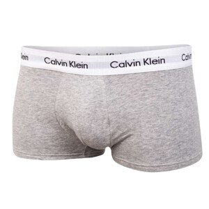 Calvin Klein Spodní prádlo 3Pack Underpants U2664G Grey L