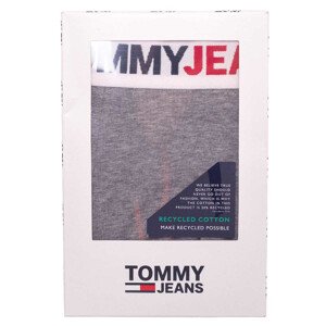 Tommy Hilfiger Jeans Slipy UM0UM02401P4A Grey L