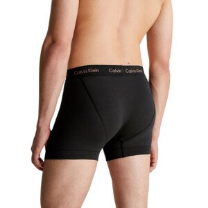 Calvin Klein Spodní prádlo 3Pack Slipy 0000U2662GH5G Black L