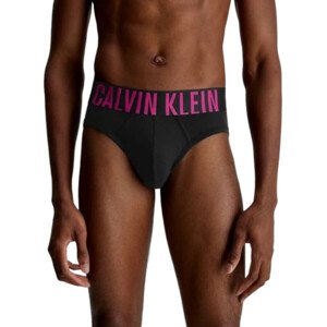 Calvin Klein Spodní prádlo 2Pack Slipy 000NB2601AGXI Black M