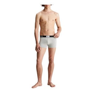 Underpants model 19149840 Black/Grey L - Calvin Klein Underwear