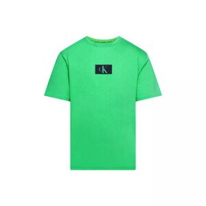 Spodní prádlo Pánská trička S/S CREW NECK 000NM2399ELGP - Calvin Klein L