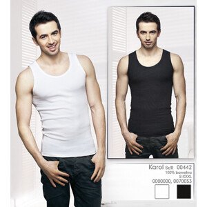 Pánské tričko Alex  model 2639113 - TOP-BIS Barva: černá, Velikost: L