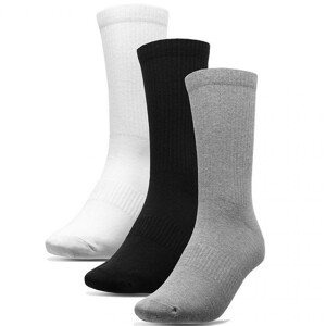 Pánské ponožky M  20S 10S 3942 model 16012203 - 4F