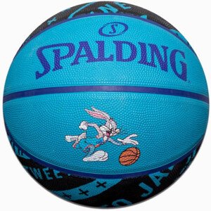 Basketbalový míč Space Jam Squad IV  7 model 18300231 - Spalding