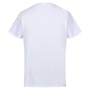 Pánské tričko Cline VII RMT263-HUJ bílé - Regatta 3XL