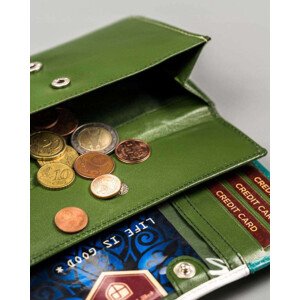 Dámské peněženky [DH] PTN RD 08 GCL S zelená