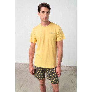 Vamp - Dvoudílné pánské pyžamo 18610 - Vamp yellow pollen xl