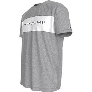 Pánská trička T-SHIRT BLOCK LOGO UM0UM03418P61 - Tommy Hilfiger L