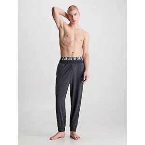 Spodní prádlo Pánské kalhoty JOGGER 000NM2571EP7I - Calvin Klein L