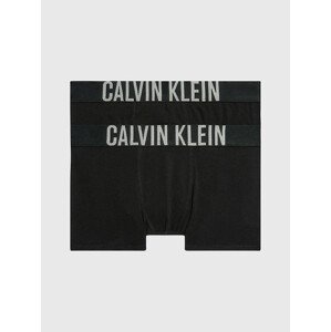 Underwear Boys Underwear Bottoms 2 PACK TRUNKS B70B700122001 - Calvin Klein 10-12