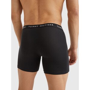 Close to Body Men Underwear Bottoms 3P BOXER BRIEF UM0UM022040TE - Tommy Hilfiger LG