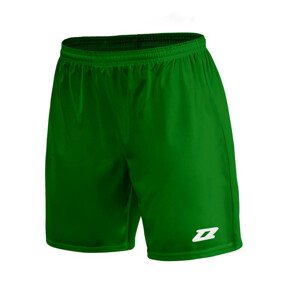 Pánské šortky Iluvio Senior M Z01929_20220201120132 zelené - Zina S