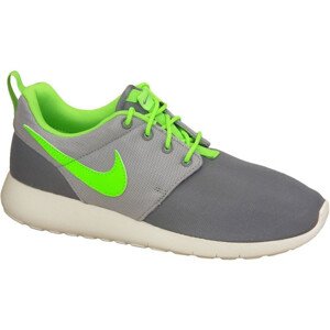 Dámské boty Roshe One Gs W 599728-025 - Nike 39