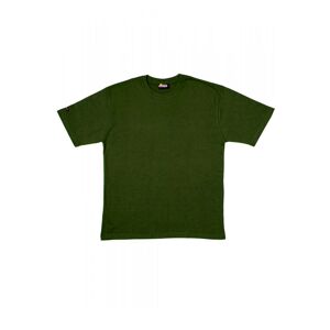 Pánské tričko 19407 J140 green zelená S