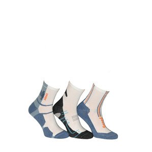 Pánské ponožky Terjax Active Line Półfrotte art.034 7056 světlá.mix vzorů 45-47