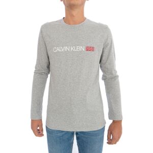 Pánské tričko NM1705E-080 šedá - Calvin Klein šedá S
