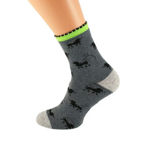 Dámské vzorované ponožky Bratex Women Froté 037 tmavě šedá 36-38