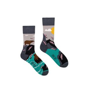 Ponožky Spox Sox - Medvědi multicolor 40-43