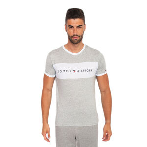 Pánské tričko Tommy Hilfiger šedé (UM0UM01170 004) M