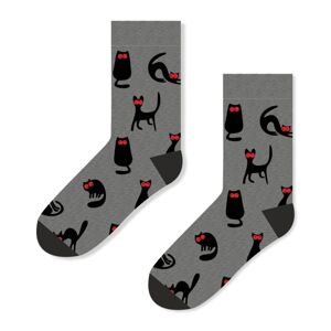 Ponožky HIPSTER 510/671 šedá 36/38