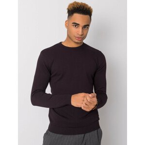 Tmavě fialový svetr pro muže LIWALI M