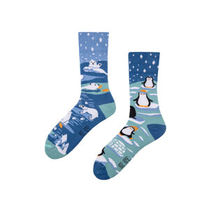 ponožky Spox Sox Antarktida tyrkys - modrá 44-46